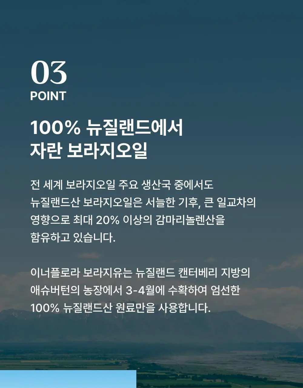 [콜레스테롤 개선] 이너플로라 보라지유 60캡슐 (1개월분) 상세페이지 18